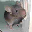 DSCN0783.jpg