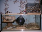 PICT0057.jpg
