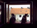 balkon1 forum.jpg