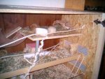 1008_150732X.jpg