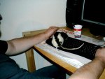 IMAG0040.jpg
