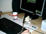 IMAG0041.jpg