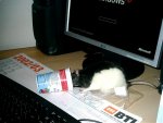 IMAG0042.jpg