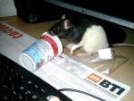 IMAG0043.jpg