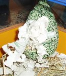 Janus im Sack.jpg