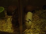 DSC04522kl.jpg