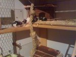 21022007113.jpg