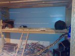 21022007115.jpg