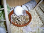 PIC_0047_verkleinert.jpg