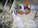 PIC_0052_berkleinert.jpg