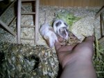PIC_0074_verkleinert.jpg