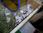 PIC_0088_verkleinert.jpg
