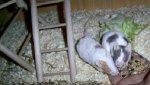 PIC_0073_verkleinert.JPG
