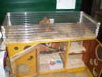 Stall1.jpg