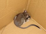 DSC01277.jpg