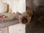 Größenänderung PICT2497.JPG