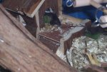 100_0971.jpg