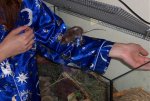 100_1030.jpg
