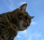 lucky-himmel.JPG