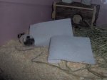IM000279.jpg