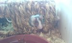 DSC00256_verkleinert.JPG