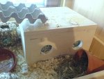DSC00257_verkleinert.JPG