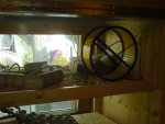 DSC00262_verkleinert.JPG