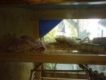 DSC00263_verkleinert.JPG