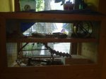 DSC00264_verkleinert.JPG