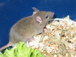 IMG_1640-verkleinert.jpg