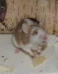 IMG_0957.jpg