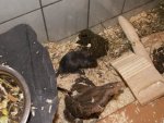 Größenänderung PICT2873.JPG