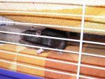 Größenänderung PICT2905.JPG