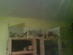 DSC00005.jpg