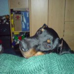 DSC00093.jpg