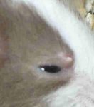 mausteil.jpg