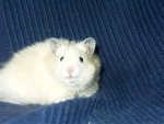 IMAG0043.jpg