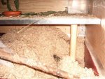 06Aug07Bild1.jpg