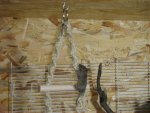 DSC01495.jpg