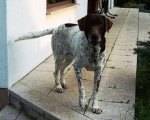 Kopie von Shadow daheim.jpg
