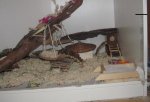 IMG_4138_1390.jpg