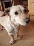 2008-12-03 147.jpg