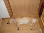 2008-12-03 152.jpg