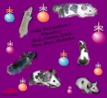 Weihnachtsgrüße forever.jpg