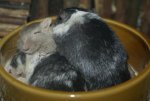 DSC03626.jpg