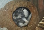 DSC03679.jpg