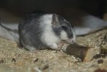 DSC03702.jpg