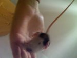 IMG00281-20110104-1727.jpg