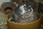 DSC03953.jpg