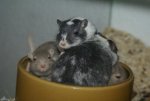 DSC03974.jpg